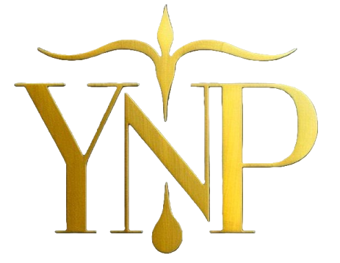Yuri Nunes Prudente Advocacia